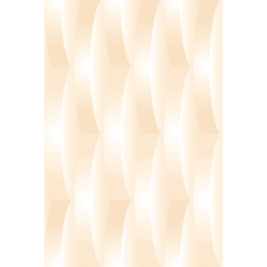 MW 2081 L